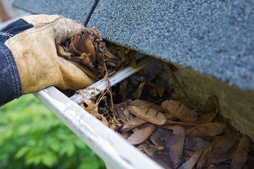 Lexingtons best gutter cleaning company is The Gutter Snipe, providing premier gutter cleaning service in Central KY.